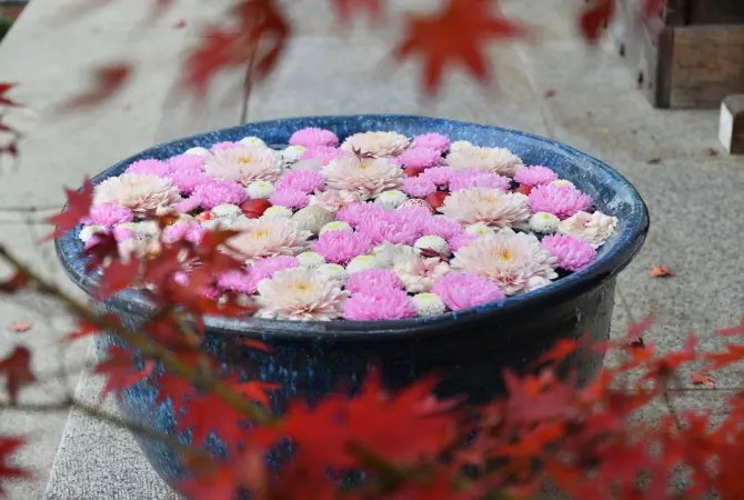 ⛩️ 이부스키 신사(이부스키 진자) 이미지 6